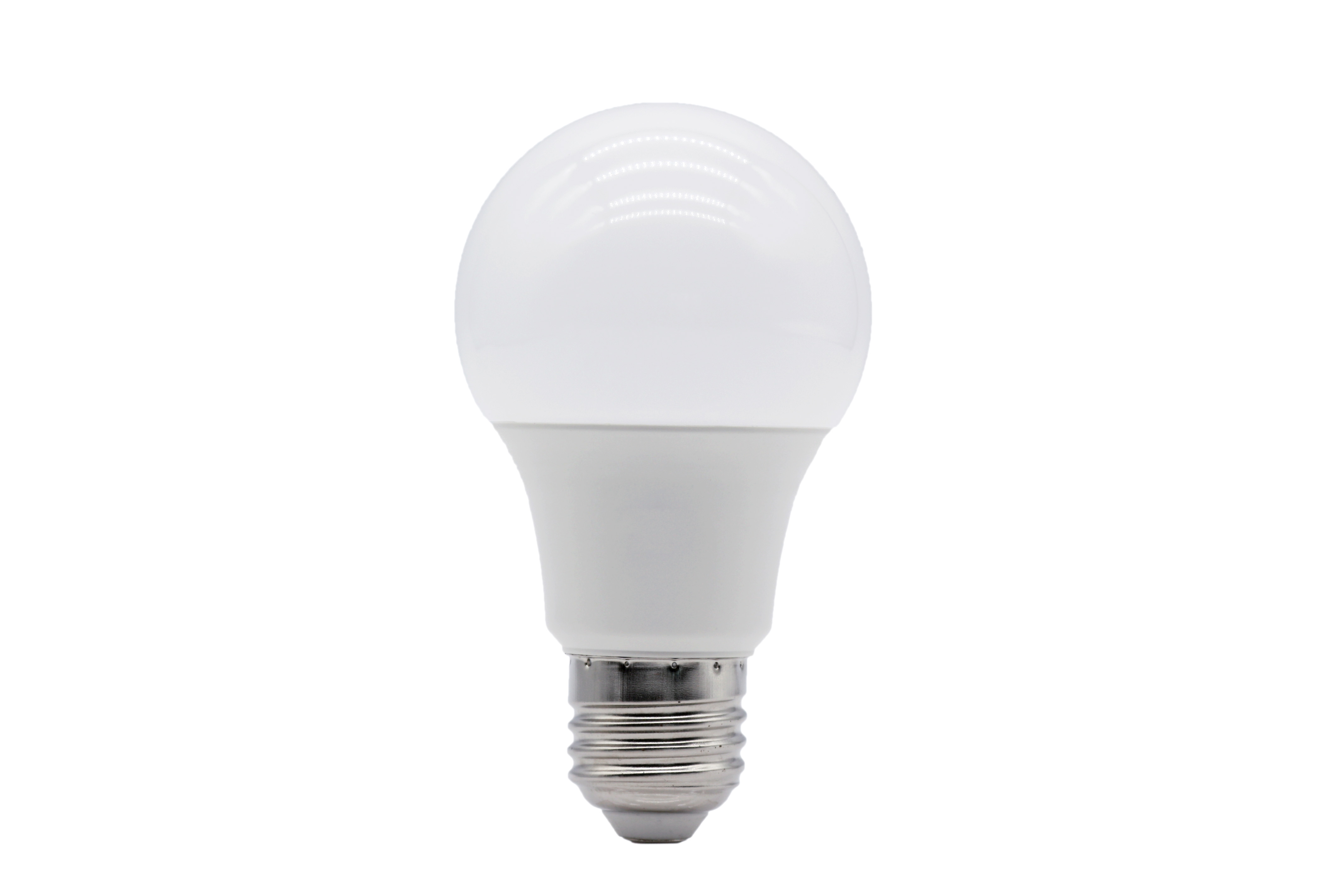 A60 Low Volt LED Bulb 6W