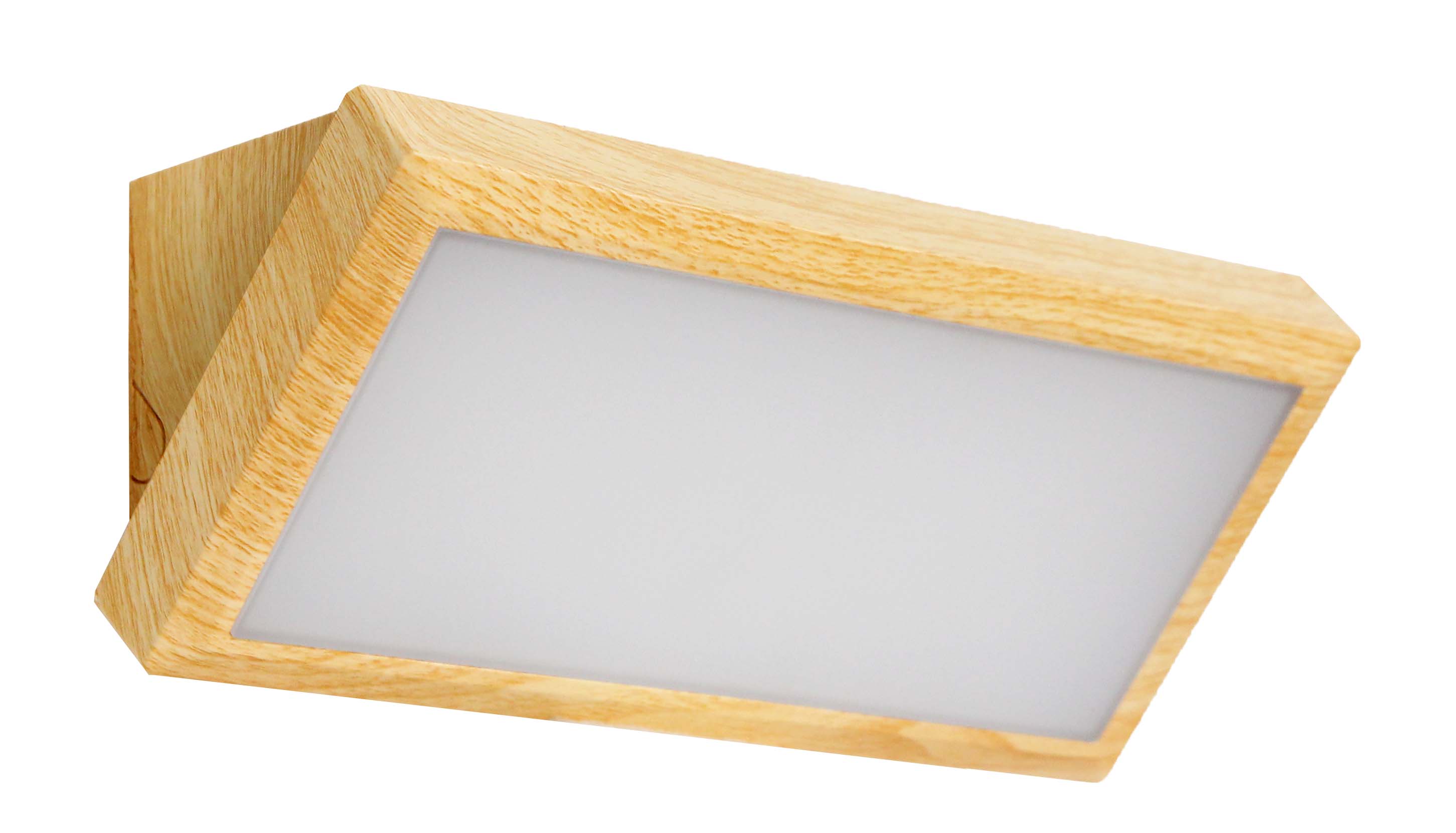 LED Wall pack light        YT-NP-WP17 Wooden